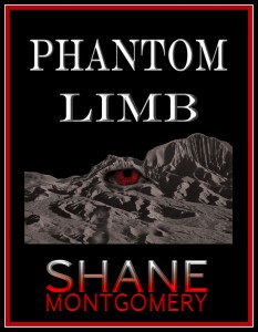 PhantomLimbBlack Cover_RGB_E_book-12-24-2013