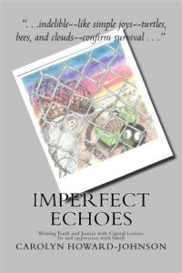 Imperfect Echoes_