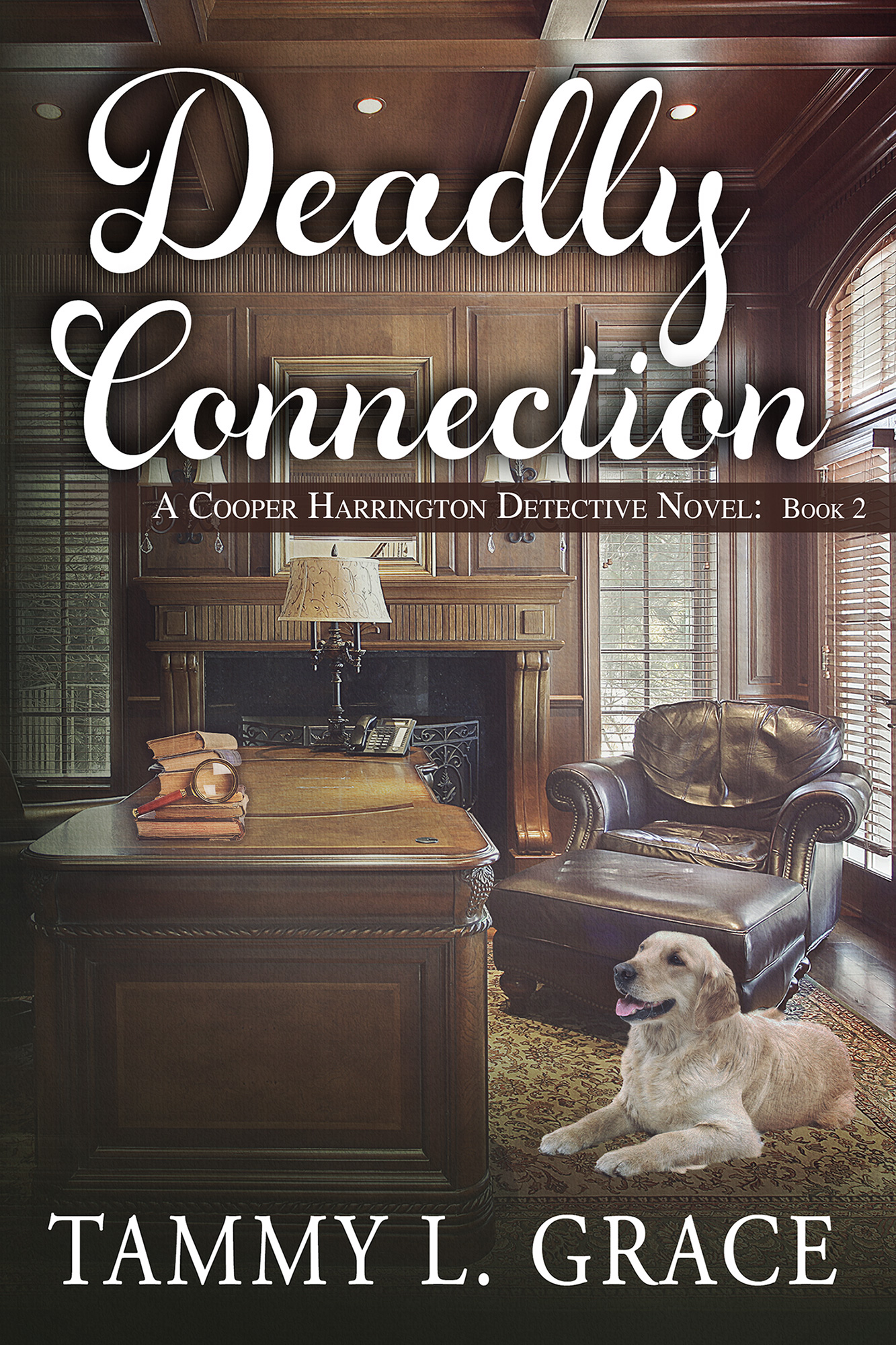 Deadly Connection:  A Cooper Harrington Detective Novel